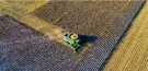 expoagro2